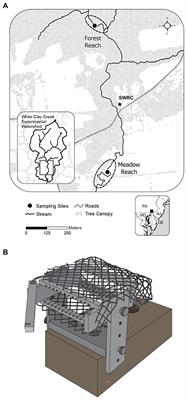 Convergence of biofilm successional trajectories initiated during contrasting seasons